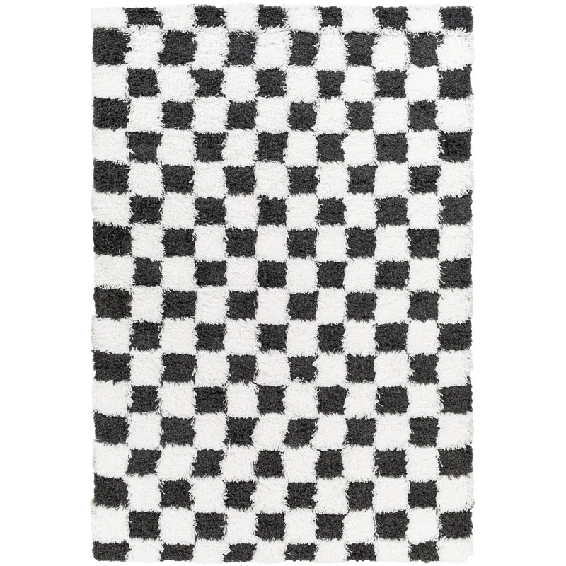 Theia Oriental Area Rug, Rectangle 160 x 220 cm