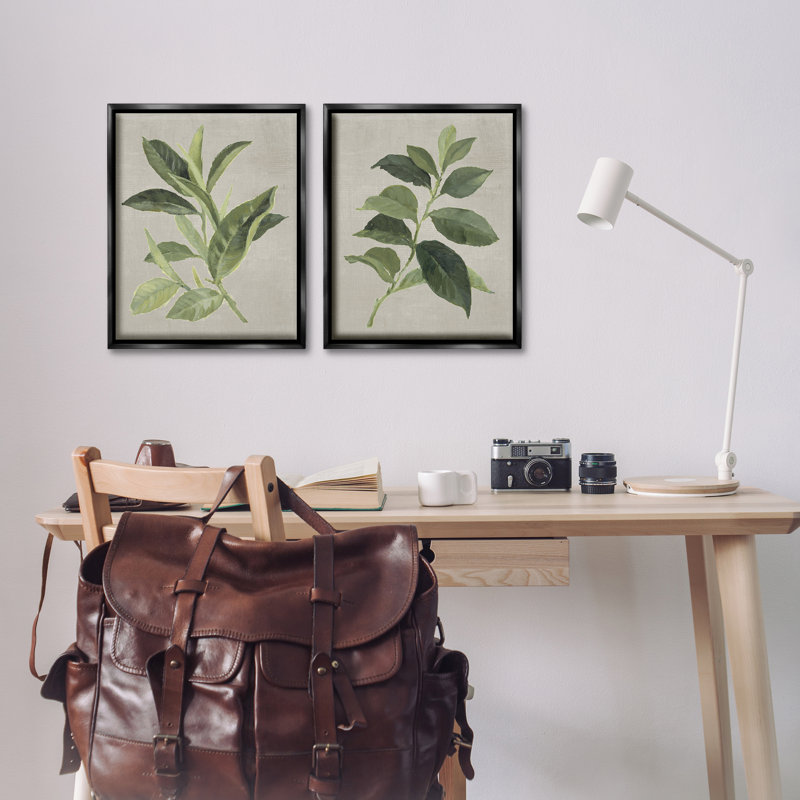 Ensemble de 2 cadres flottants Green Tea & Coffee Plant, par Lanie Loreth, Cadre flottant noir de jais, H 21 po x l 17 po