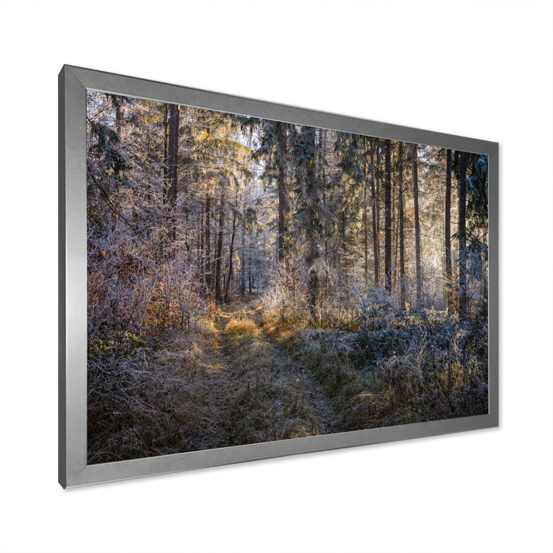 «Forest Trees In Winter», reproduction d'art sur toile, H 8 po x l 12 po x P 1 po, Cadre photo argenté