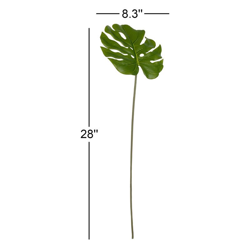 Tige de feuille Monstera