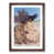 Walnut Framed