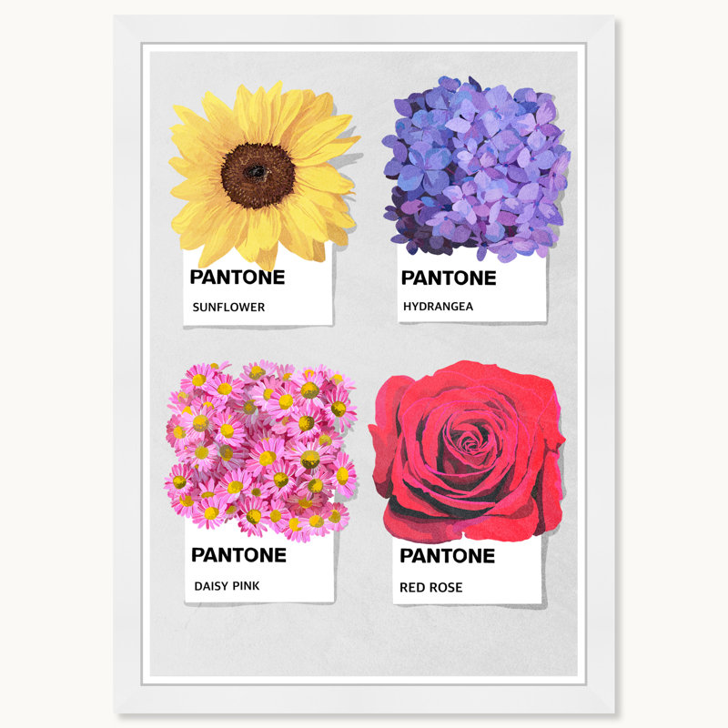 Flore Pantone, Cadre blanc