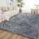 Machine Tufted Shag Area Rug