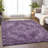 Machine Washable Indoor/Outdoor Xhevrie Eggplant Rug-384393841