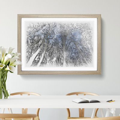 Beautiful Forest Sketch - Picture Frame Graphic Art
