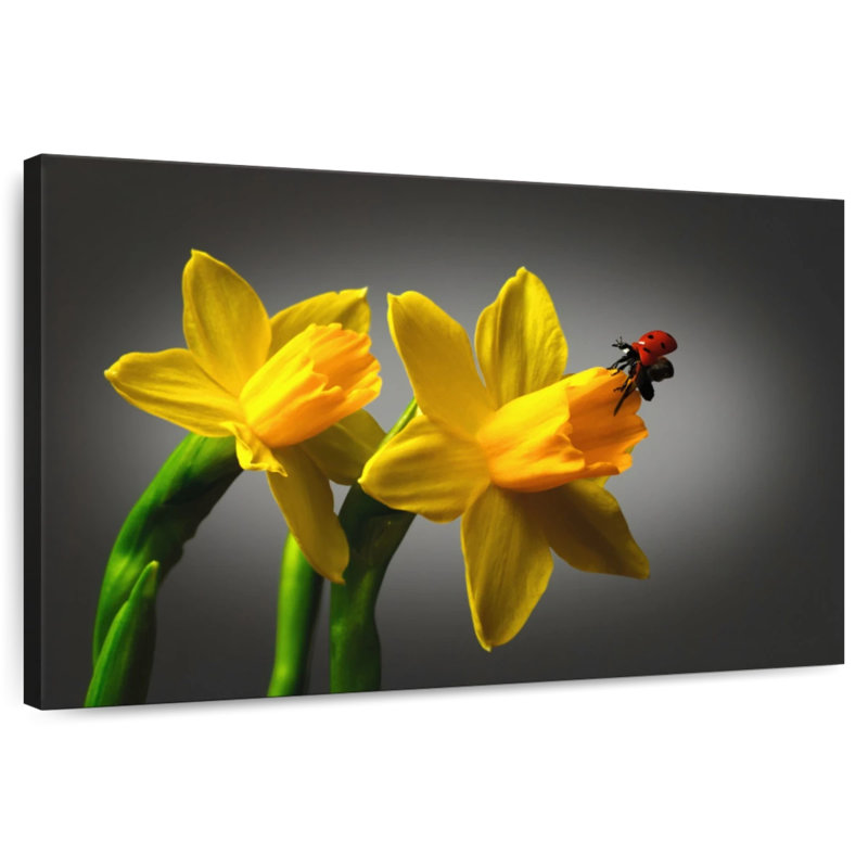 Harnek Ladybug On Daffodil, 26" H x 39" W