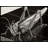 Grasshopper by M.C.Escher Gallery Wrapped Canvas-1926804096