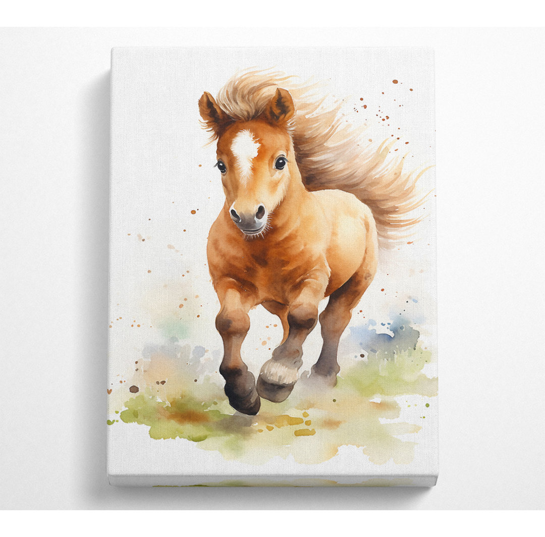 Pony Aquarell - Kunstdrucke auf Segeltuch