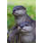 Playful Otters