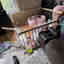 Photos des clients 1 de 1