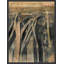 Above NY 1 Print