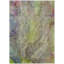Tapis abstrait intérieur / extérieur lavable à la machine Chantille ACN2307-1992157998