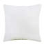 Coussin intérieur 18 po x 18 po-105621139