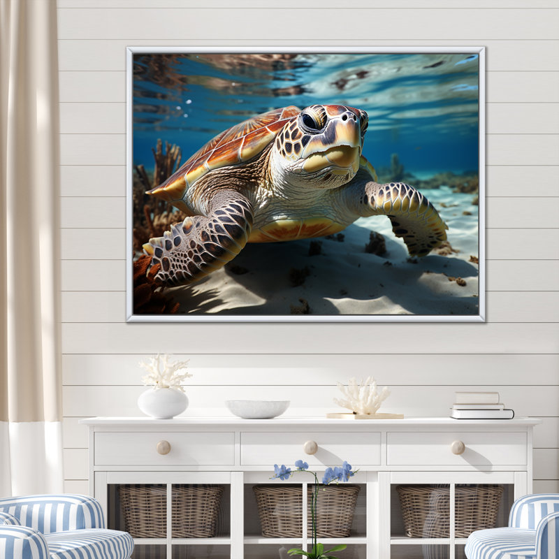 Minimalist Lagoon Turtle sur toile, Cadre flottant blanc, H 24 po x l 32 po x P 1 po