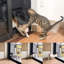 Porte coulissante pour chien et chat-62227042