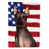 American Hairless Terrier