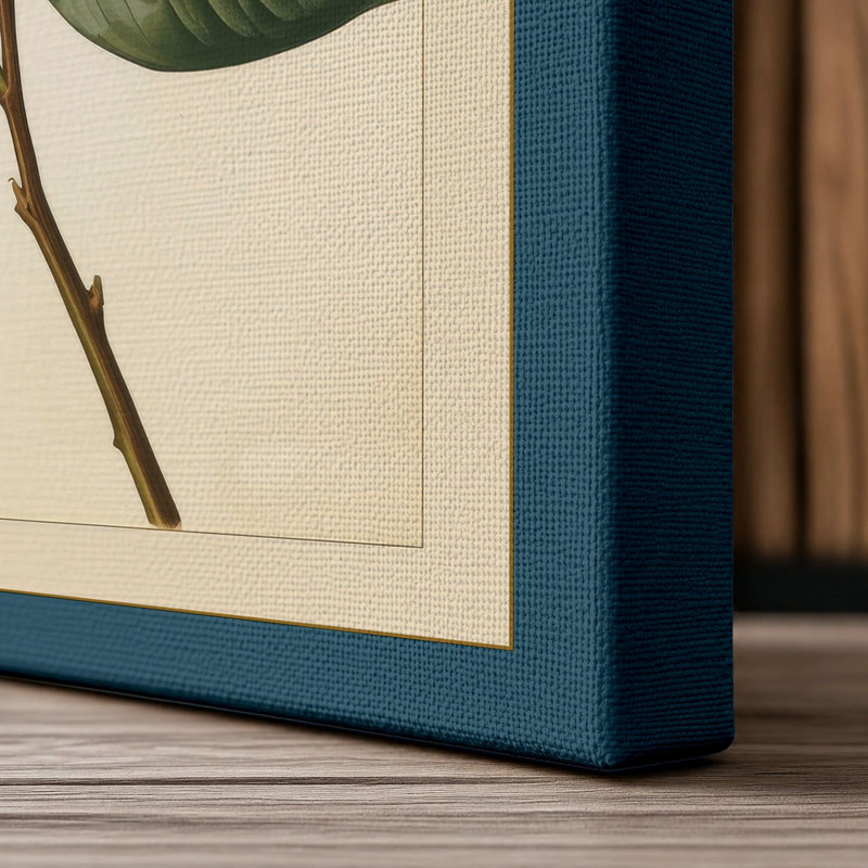 Print, 36x24 - 91.4 x 61.0 cm, Teal Border