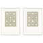 Shell Collection Framed Art