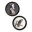 Great Cinereous Owl In Round Frame by Audubon - Single Picture Frame Print on Archival Matt 230gsm Paper
