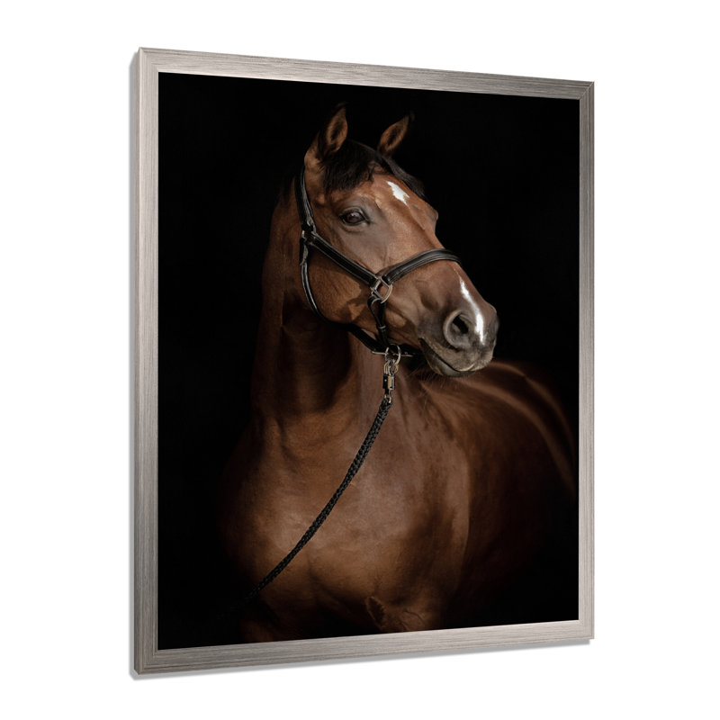 Horse Portrait - Reproduction de photographie d'animaux sur toile tendue, H 44 po x l 34 po, Cadre photo argenté