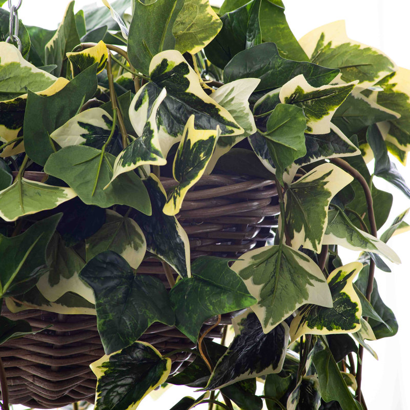 Mélangé dans un panier