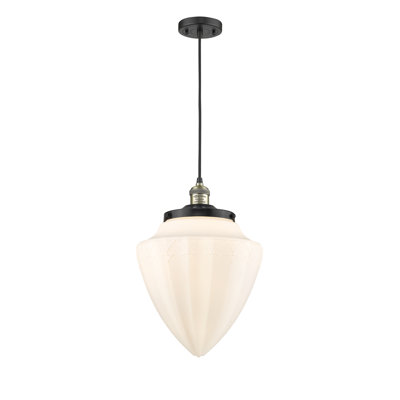 Luminaire suspendu simple à 1 lumière
