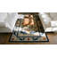 Light Ivory Color Antique Silk Pile Chinese Foo Dog Design Area Rug
