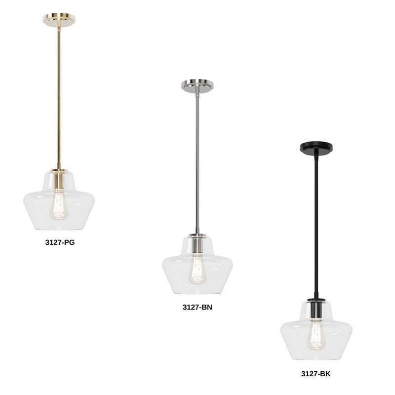 Luminaire suspendu 1 lumière de 9,75 po Carlissa, Noir mat