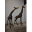 Paire de jeunes statues de girafes ludiques en bronze, taille: 54 po x 18 po x H 89 po