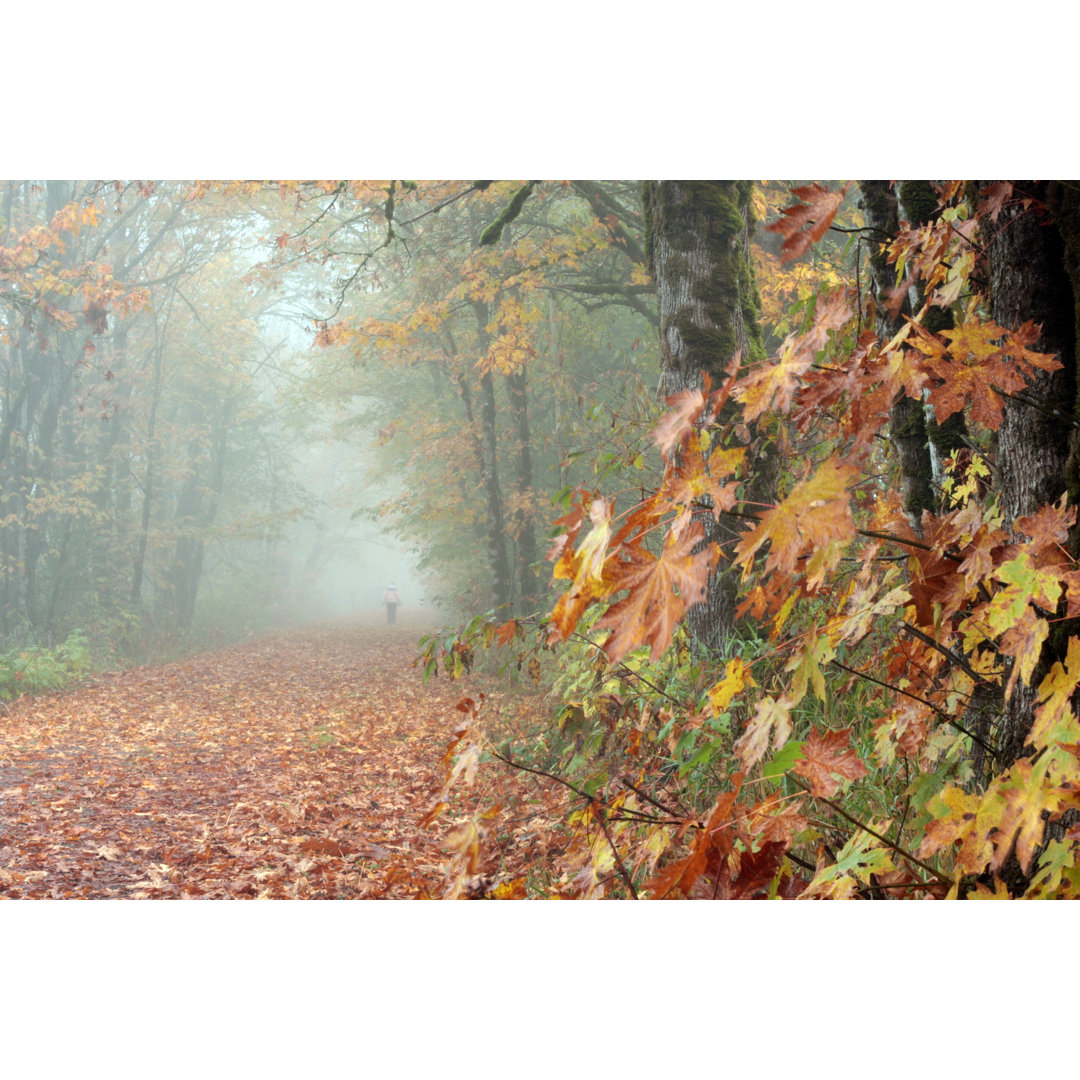 Autumn Leaf Walk von RonBailey - Drucken