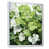 Cadre flottant blanc