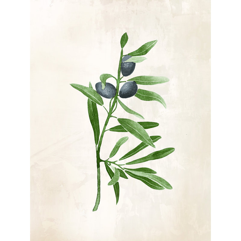 Olive Branch avec olives noires - impression sur toile tendue, H 40 po x l 30 po