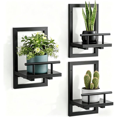 Floating Shelves for Wall Plant Shelf Indoor Wall Mounted Shelves, 3 Pack, Black