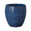 CREST PLANT, NEIGE-1178832790-1178832814
