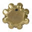 Plaque murale succulente D10x1,6 po