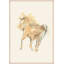 Tan Rider 1 by Giselle Kelly-733540632