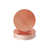 Rose Gold is out of stock selected