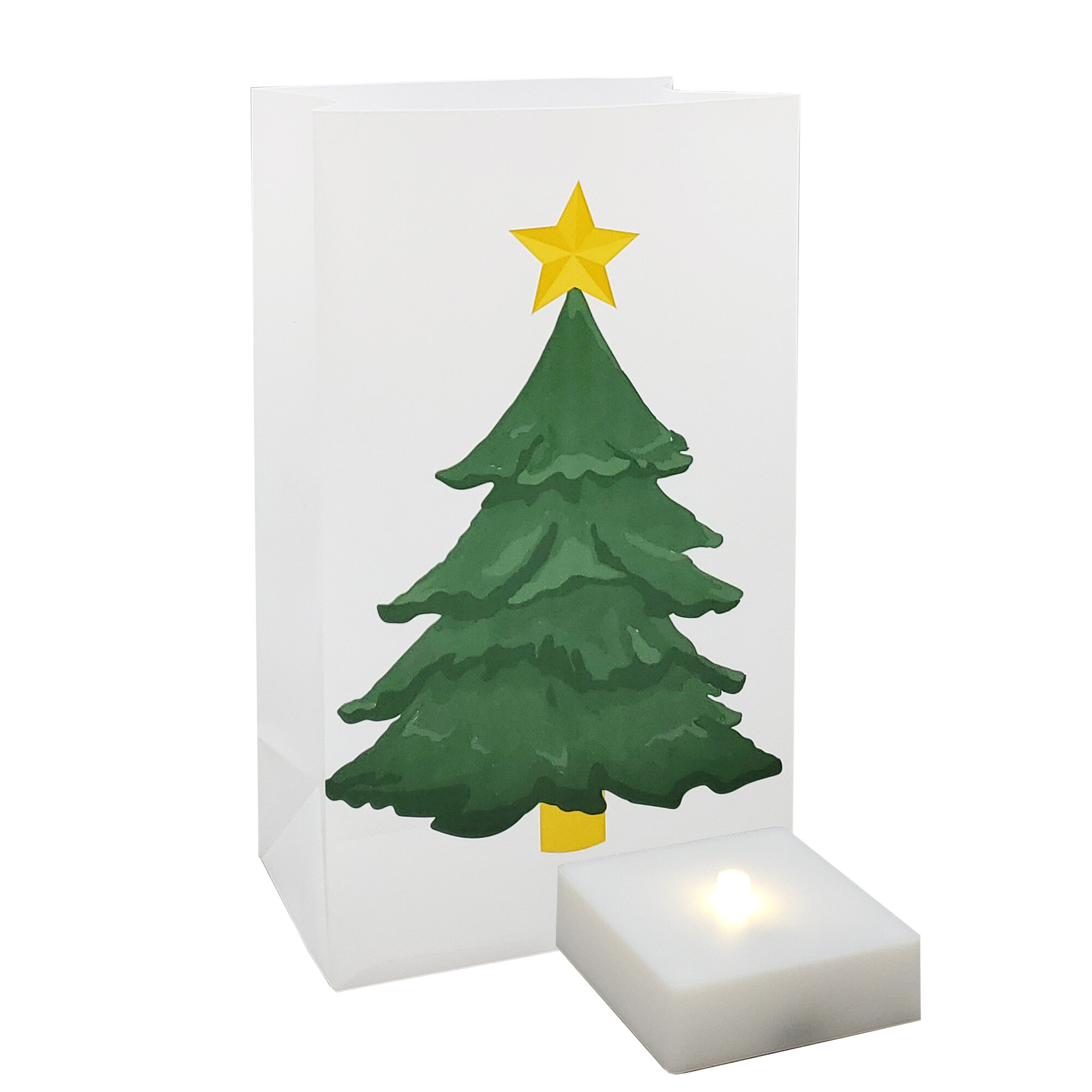 https://assets.wfcdn.com/im/13325553/compr-r85/1676/167600366/holiday-tree-battery-operated-led-luminaria-kit.jpg