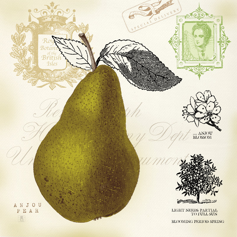 Pear Notes by Studio Mousseau - Wrapped Canvas Print, 76cm H x 76cm W