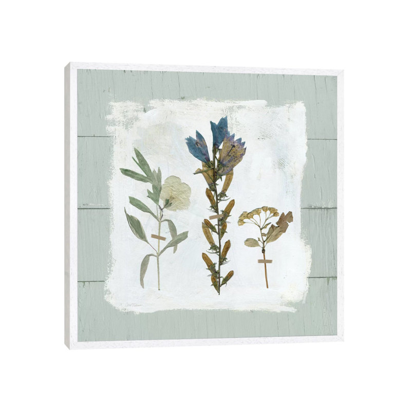 Pressed Flowers On Shiplap I by Carol Robinson - Floater Frame Painting on Canvas, White, 45.72 cm H x 45.72 cm W