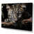 Wrapped Canvas