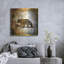 «High Country Bear» par Lightbox Journal-909869361