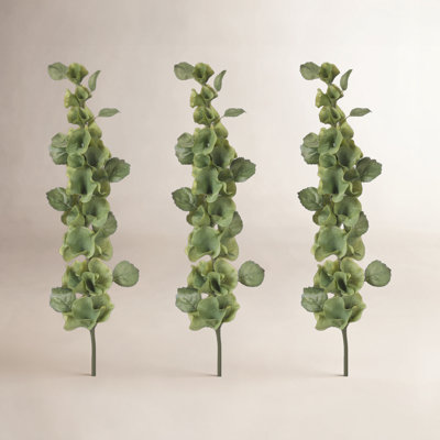 Bells of Ireland Stems