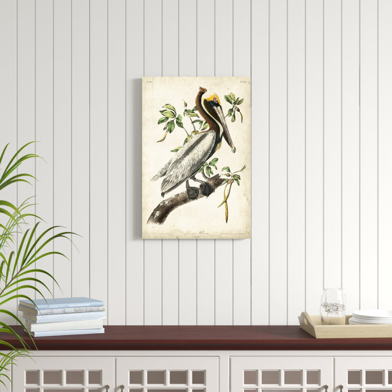 Pélican brun, peinture sur toile, H 18 po x l 12 po