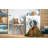 Indoor Rug-68561932