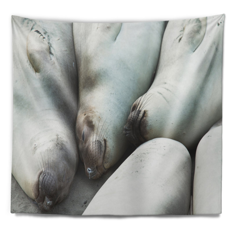 Éléphants de mer abstraits prenant une tapisserie Nap, H 50 po x l 60 po