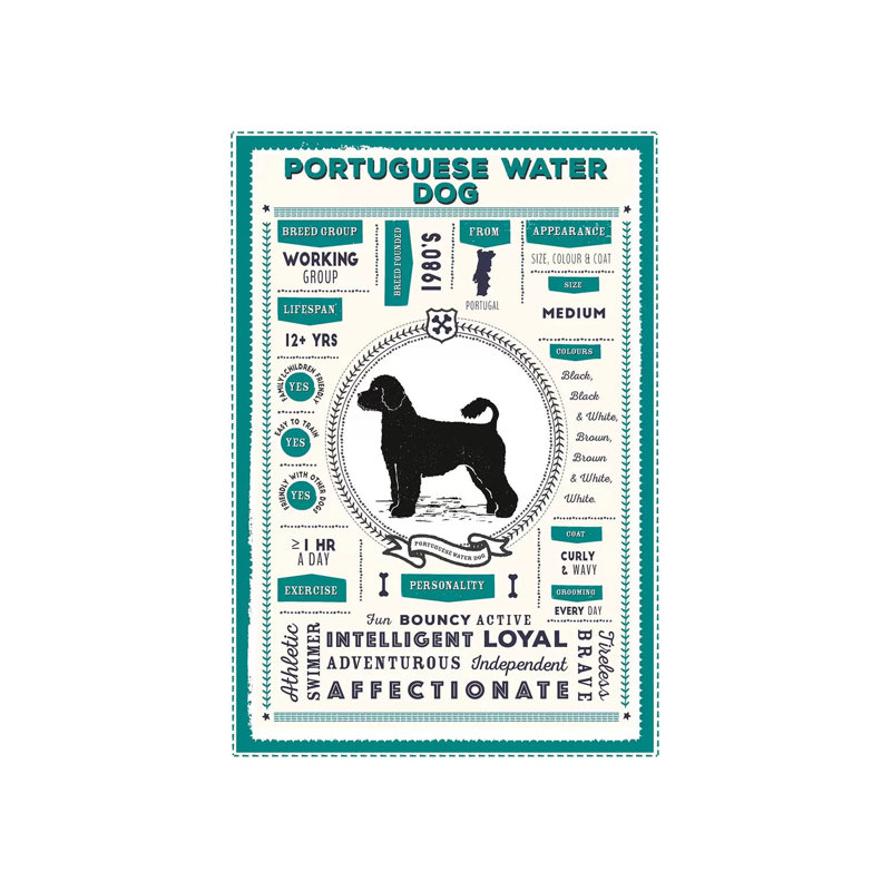 «Portugal Water Dog Infographie Blue» par PaperPaintPixels, impression sur toile tendue, H 18 po x l 12 po x 1,5 po