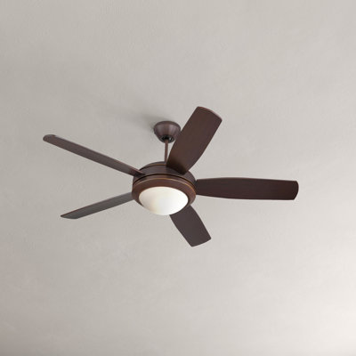 Ventilateur de plafond standard à 5 pales de 44 po avec chaînette et ensemble d'éclairage inclus Stoller