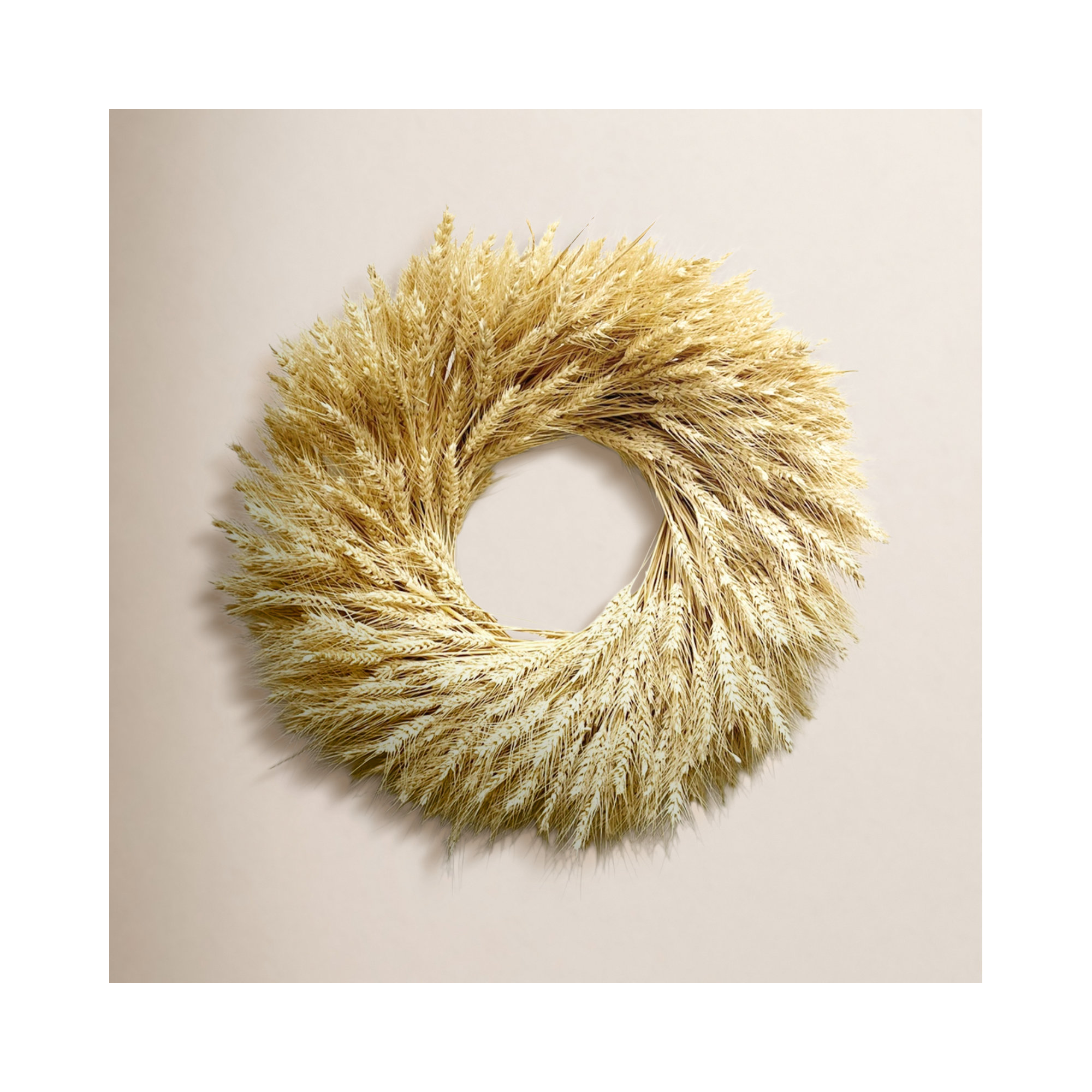Preserved Natural Blonde Wheat 22" Fall Wreath, 22'' H x 22'' W
