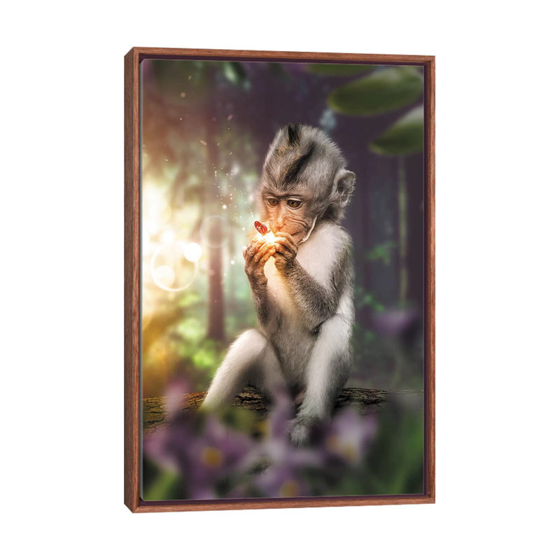 The Monkey & Butterfly by Zenja Gammer - Print on Canvas, Classic Brown Wood Framed, 66.04 cm H x 45.72 cm W